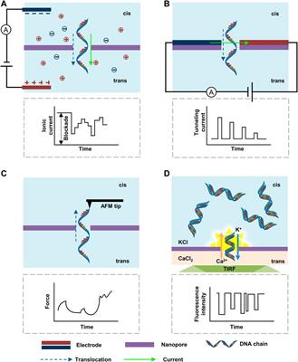 Miniaturized DNA Sequencers for Personal Use: Unreachable Dreams or Achievable Goals